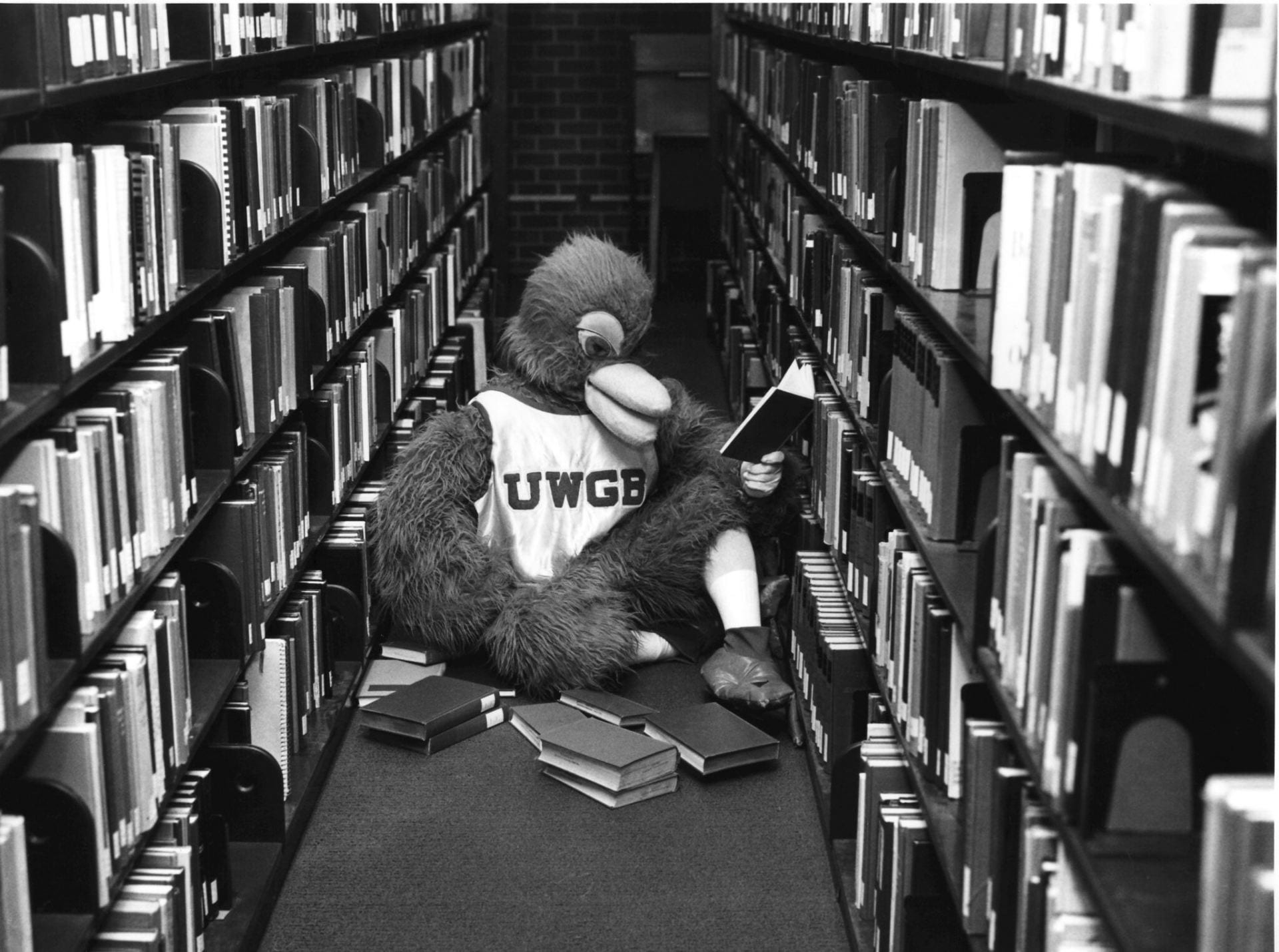 1980s black and white photo of Phlash the Phoenix Mascot reading books in the library stacks