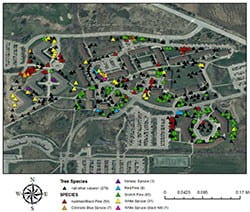 UWGB Housing Tree Map