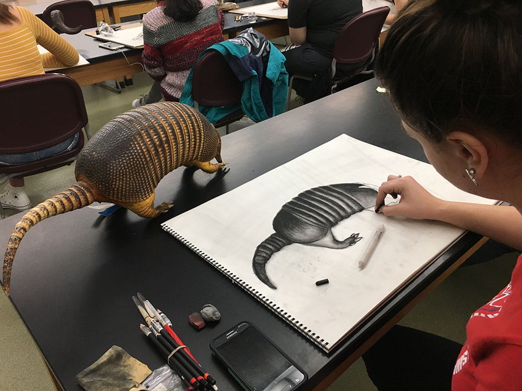 Video: Drawing in the Natural History Museum – Inside UW-Green Bay News