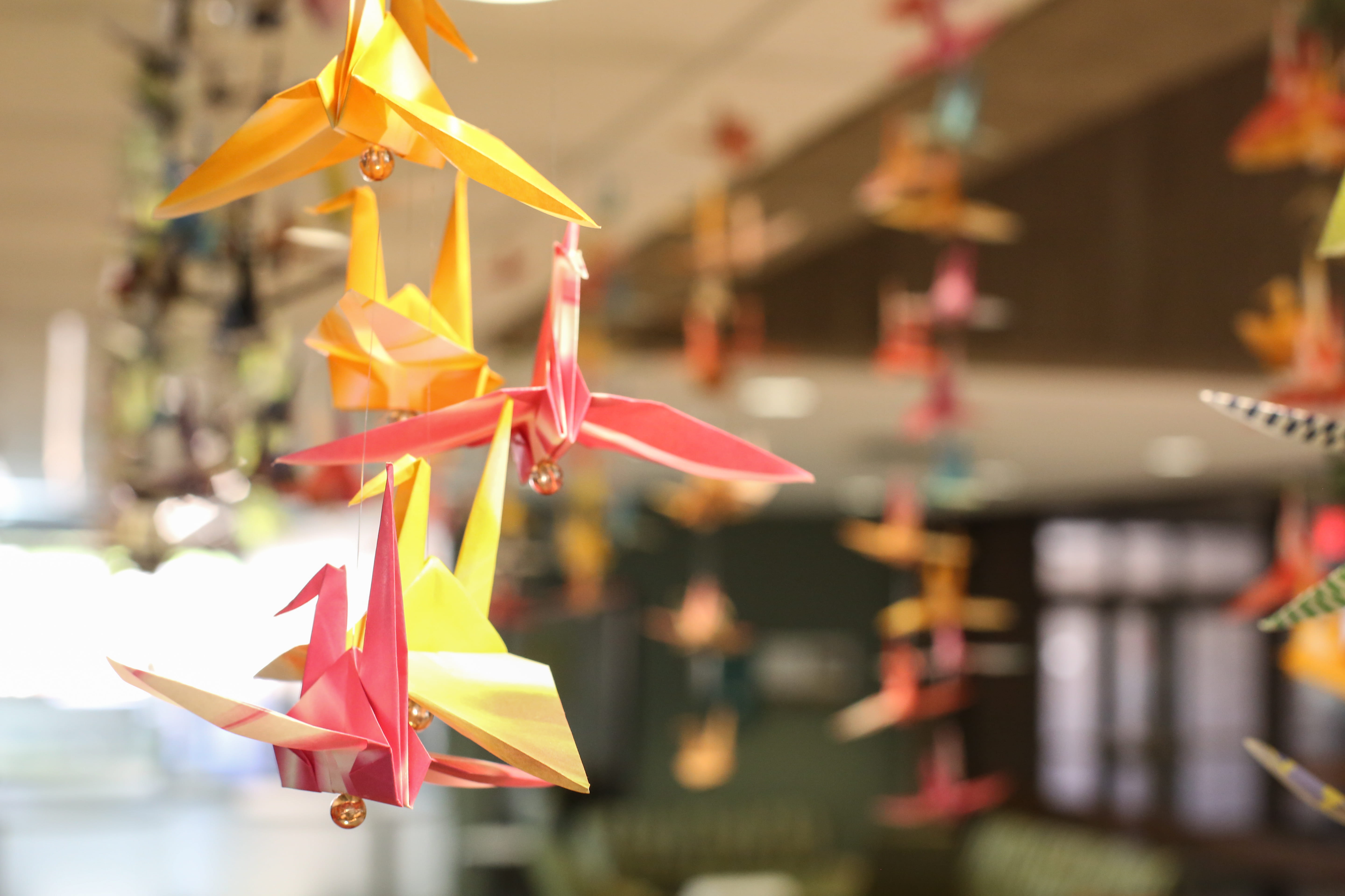 Peace Cranes in Library Commons
