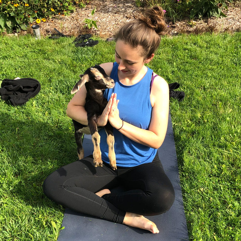 Jena Richter Landers doing goat yoga