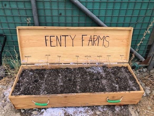 Fenty Farms3