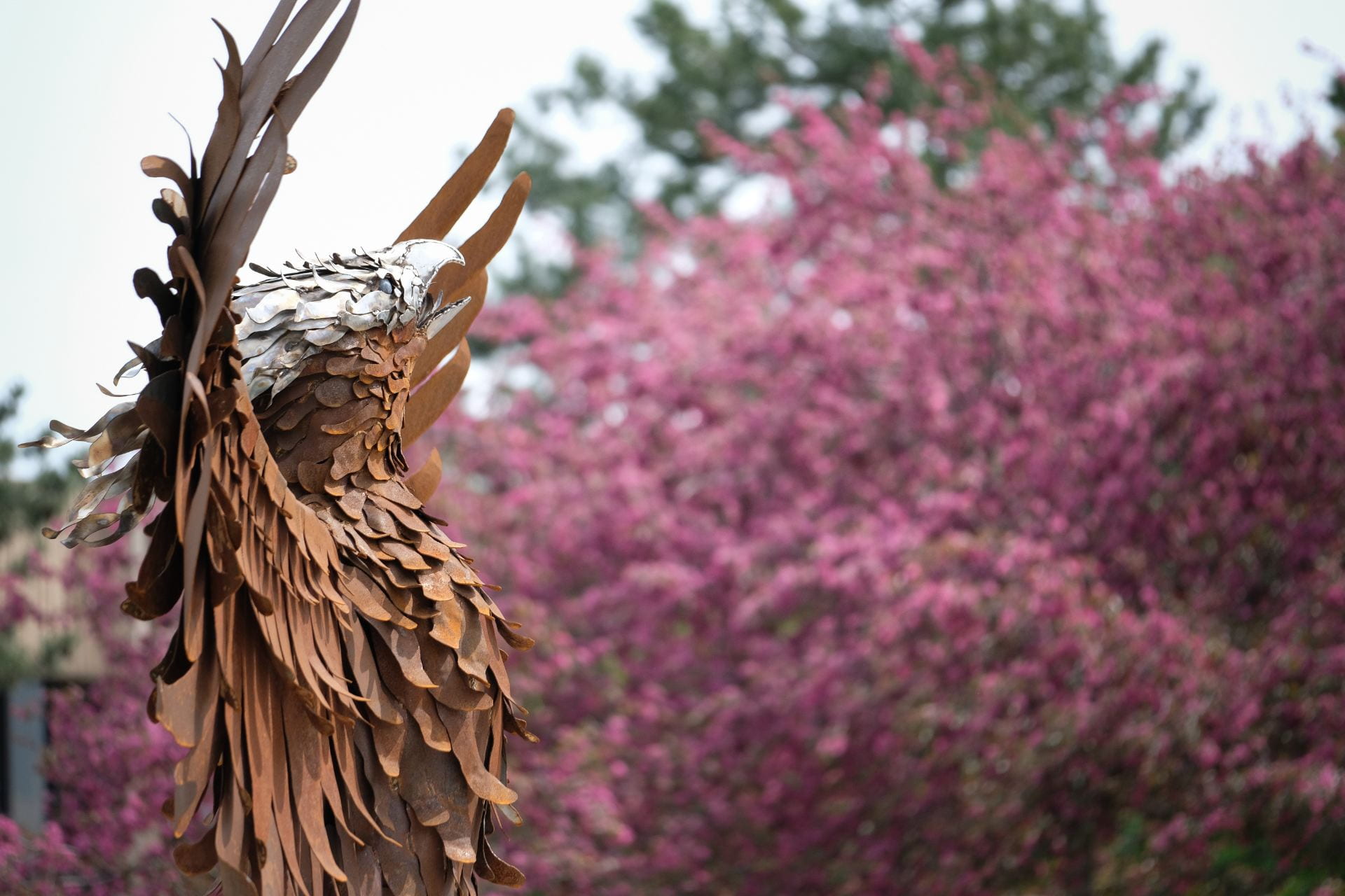 Phoenix Rising sculpture with trees in blossom in the background