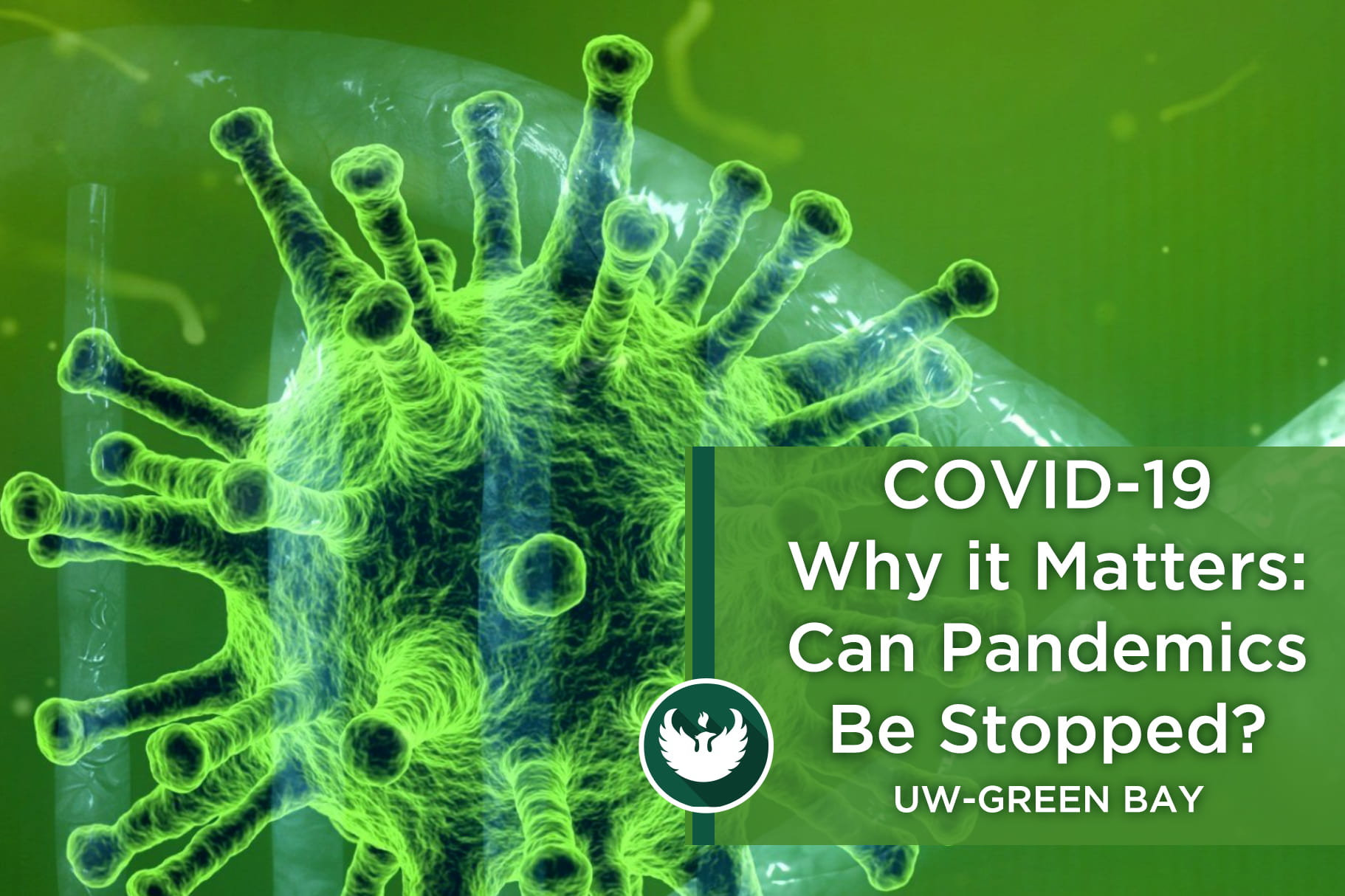A graphic showing a close up of the covid-19 virus with a text overlay "COVID-19 Why it Matters,Can pandemics be stopped?"