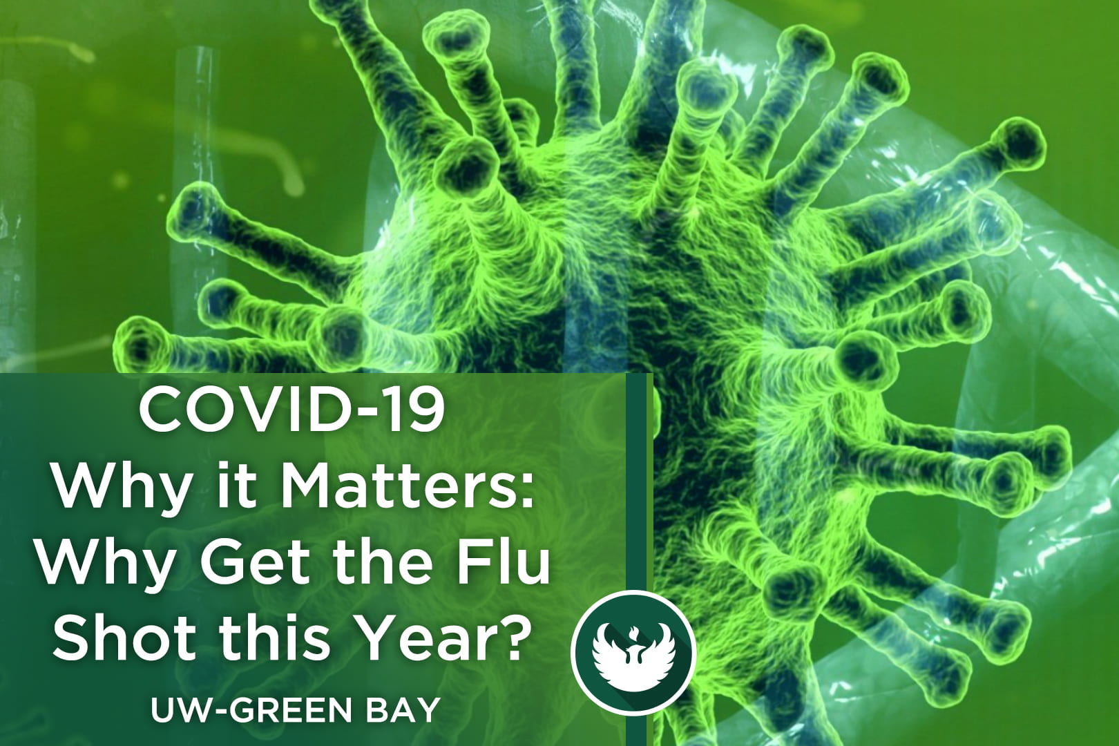 Photo of the covid-19 virus under a microscope with the words, "COVID-19 Why it Matters, Part 8: Why does everyone need a flu shot this year?"