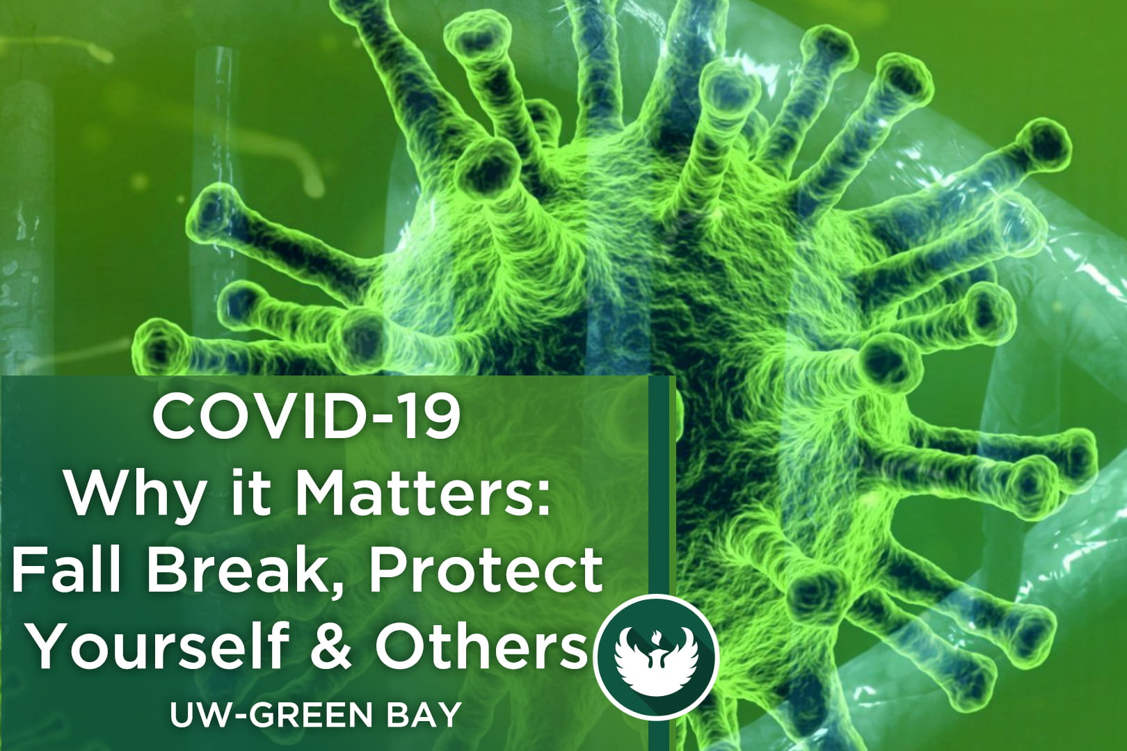 Photo of the Covid-19 virus under a microscope with the text, "Covid-19 Why it matters: Fall break, protect yourself and others.