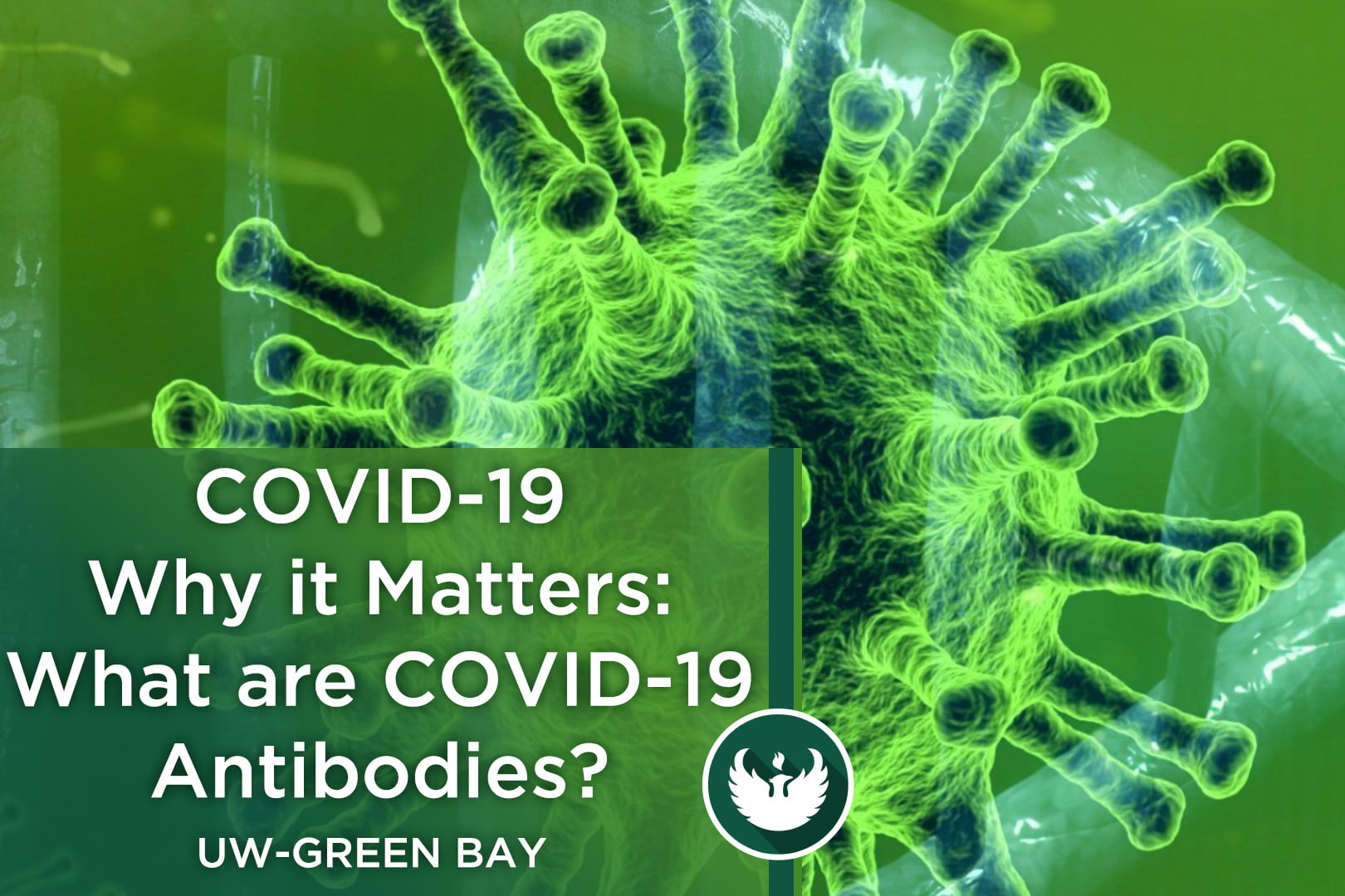 Microscopic enlargement of the COVID-19 virus with the title, "COVID-19 Why it Matters: Part 15, What are COVID-19 Antibodies?"