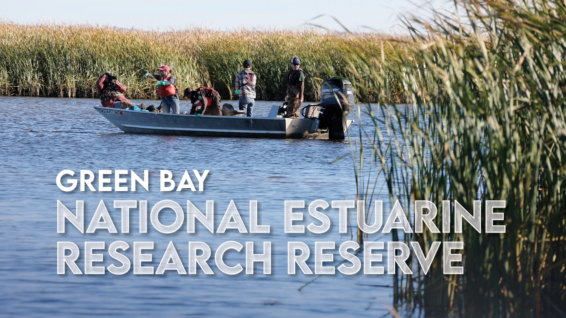 Photo of a group of people rice planting from a boat in the Bay of Green Bay with the text, Green Bay National Estuarine Research Reserve.