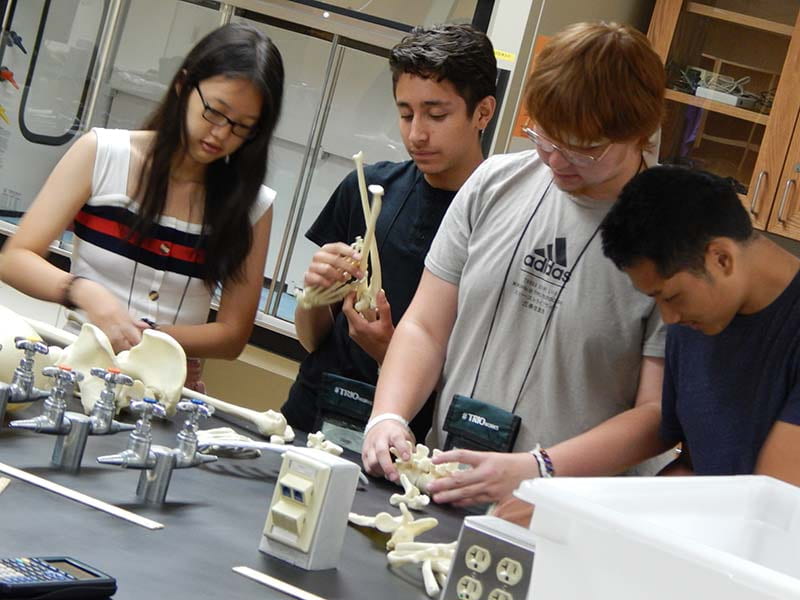 Upward Bound students in the UW-Green Bay Biology Lab