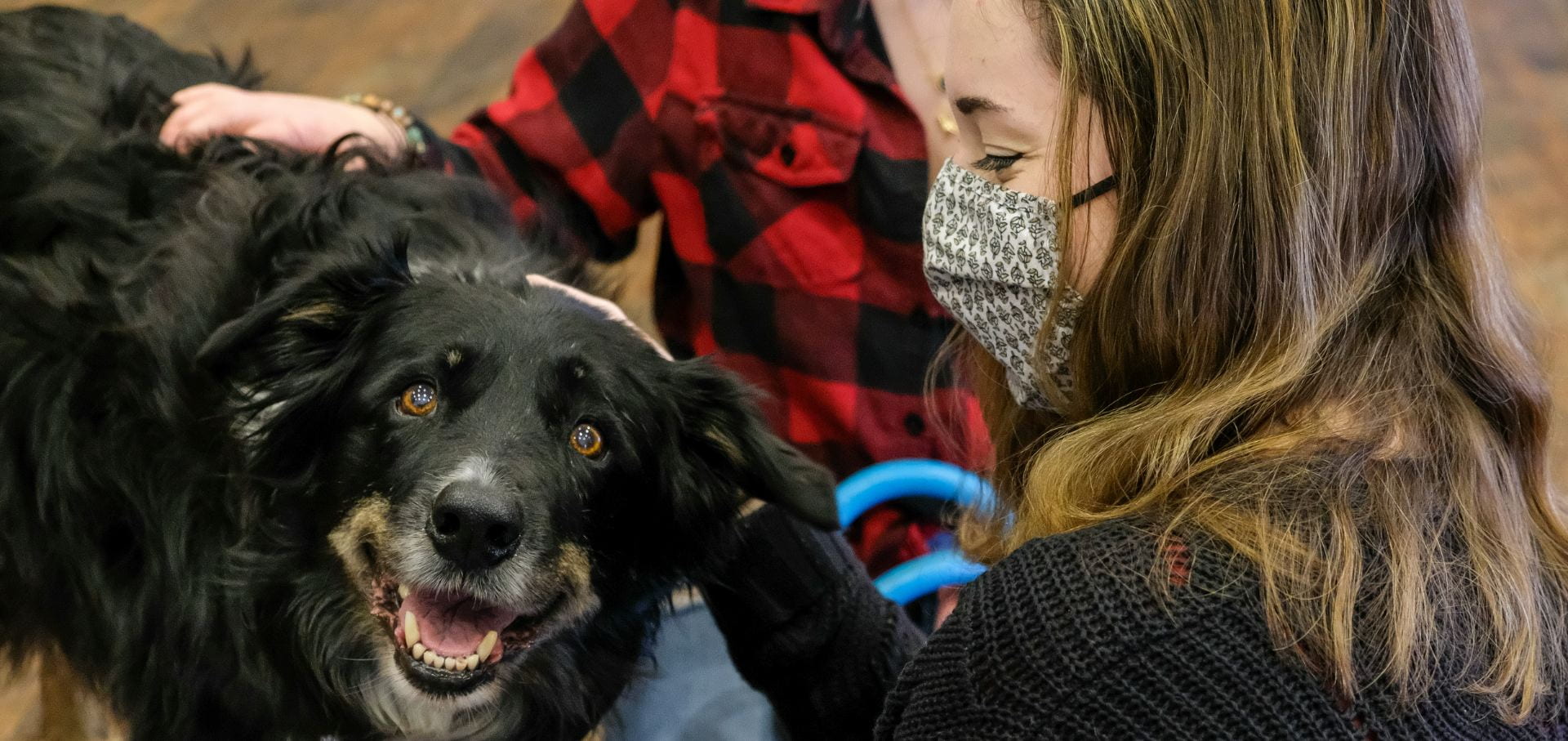 Mith, a 11-year-old Border Collie, looks at the camera as two UW-Green Bay students pet him.