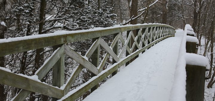 Snow-covered bridge, Cofrin Memorial Arboretum